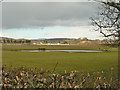 Flooded field beside the M4