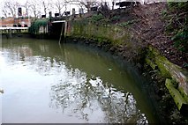 TQ2877 : Grosvenor Canal Lower basin by Nigel Mykura