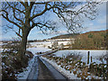 NS3868 : Country Road past Little Witchmoss Wood by wfmillar
