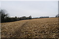 Greensand Way crosses a field of Maize stubble