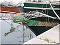 Tall Ships 2008 - Canning Dock