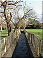 Winterbourne Stream