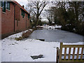 Pond in Dullingham