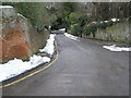 Looking down a very steep Beech Lane