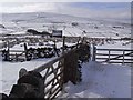 Gate above South Tynedale