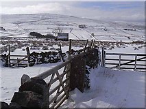 NY7541 : Gate above South Tynedale by Oliver Dixon