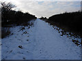 Bridleway from West Wratting Farm