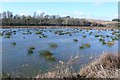 Flooded watermeadows near Dorchester