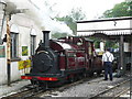 SU8529 : Palmerston at Hollycombe by Peter Trimming