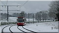 Winter Landscape on Gravel Hill