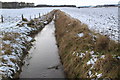 View of Coe Burn at Lochty Farm looking upstream