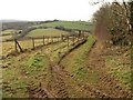 Track near Belsford