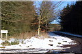 View of Driveway leading to Ecclesgreig