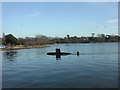 Poole Park, submarine