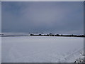 Grateley - Snowy Field