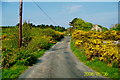 B7817 : Unmarked road in Rosses Meenbannad area by Suzanne Mischyshyn