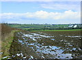 2009 : South east from Nunney Road