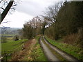 Public road below Bodynfoel Wood