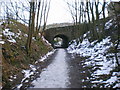 Streethouse Lane Bridge