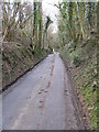 Cauldham lane leading to Hockley Sole