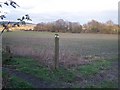 Footpath junction in field, near Chapel Street.