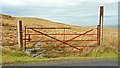 Gate near Finnis