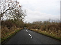 NT9046 : Rural road heading for Norham by James Denham
