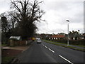 Minor road heading in to Norham