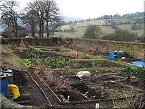 SK2381 : Allotments, Hathersage by Peter Barr