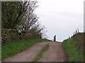 Country Lane - 2, near Low Ash Farm, Loxley Valley