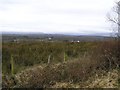 Glen East Townland