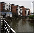 Junction of City Mill River and Bow Back River