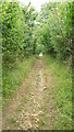 Footpath Near Chipstead