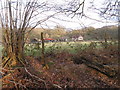 View across fields to Accold