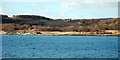 West Loch Tarbert View