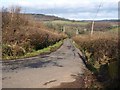 Lane to Ashcombe