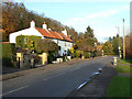 Cottages on Main Street