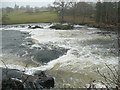 Submerged weir, River Eden, Little Salkeld