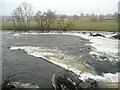 Submerged weir, River Eden, Little Salkeld