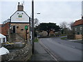 The Greendale Oak, Cuckney