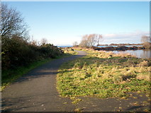 J0561 : Access Path to Fishing Stands at Kinnego Marina by P Flannagan