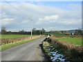 2009 : Tuckmarsh Lane