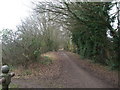 Trackbed/footpath looking towards Norwich