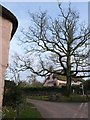 Waddeton Cottages