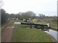 SO9567 : Worcester &  Birmingham Canal - Lock 25 by John M
