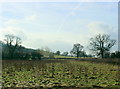 2009 : West from Bloomfield Road (or Timsbury Road)