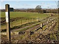 Footpath from Bellamarsh