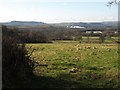 Field near Sandslade Copse