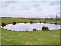 Ornamental Pond at Entrance to Copthorne Fisheries