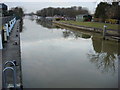 River Thames approaching Molesey Lock